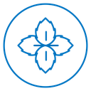 Mint Leaves icon