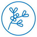Mistletoe icon
