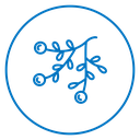 Molecular Structure icon