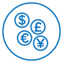 Money icon