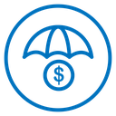 Money Insurance icon