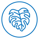 Monstera deliciosa plant leaf icon