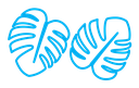 Monstera deliciosa plant leaf icon