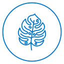Monstera Leaf Color Outline icon