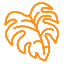 Monstera leaves icon