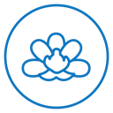 Moth orchid icon