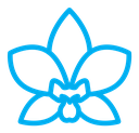 Moth Orchid icon (2) icon