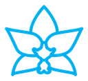Moth orchid icon