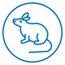 Mouse animal icon