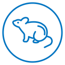Mouse animal icon