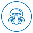 Mushroom 3 icon