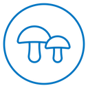 Mushroom icon