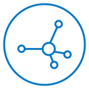 Network icon