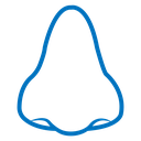 Nose icon