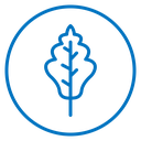 Oak Leaf icon