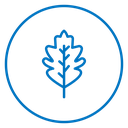 Oak Leaf 2 icon
