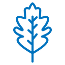 Oak Leaf 2 icon