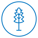 Oak Leaf icon