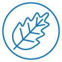 Oak leaf with veins icon