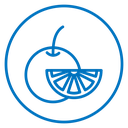 Orange fruit icon