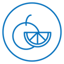 Orange fruit icon