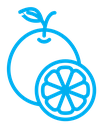Orange fruit icon