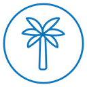 Palm tree icon