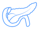 Pancreas icon