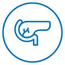 Pancreas icon