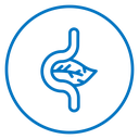 Pancreas icon