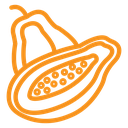 Papaya (2) icon