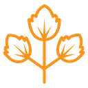 Parsley icon