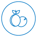Peach Fruit icon