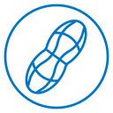 Peanut icon