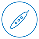 Peapod 2 icon