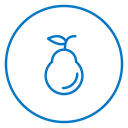 Pear 2 icon