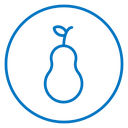 Pear icon