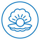 Pearl in the open shell icon