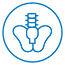 Pelvic area icon
