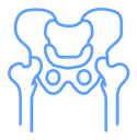 Pelvic area icon