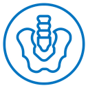 Pelvic area icon