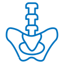 Pelvic area icon