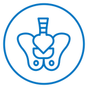 Pelvis icon
