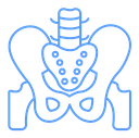 Pelvis icon