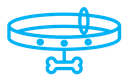 Pet collar icon