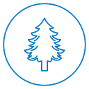 Pine Trees icon