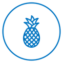 Pineapple 2 icon