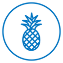 Pineapple 5 icon