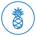 Pineapple icon