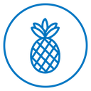 Pineapple icon